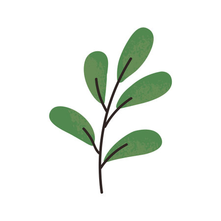 Vector Colorful illustration of plant with green leaves isolated on white backgroundのイラスト素材