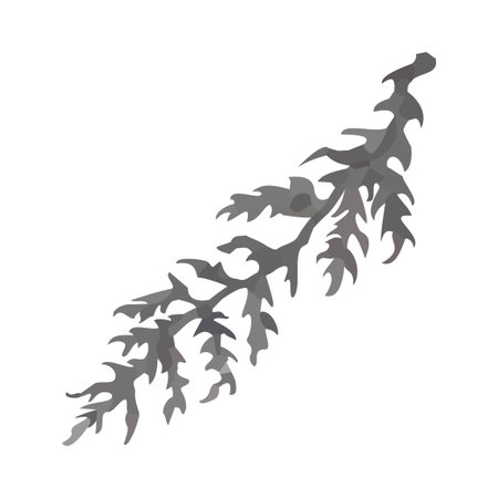 Vector Black and White Illustration of Herb Isolated on White Backgroundのイラスト素材