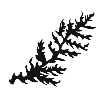 Vector Black and White Illustration of Herb Isolated on White Backgroundのイラスト素材