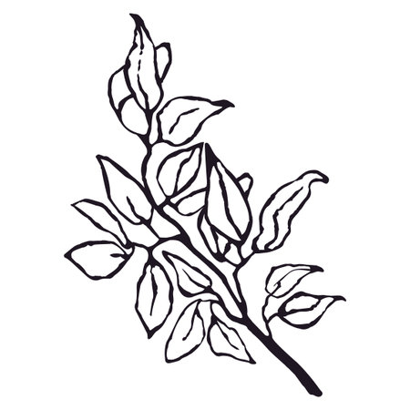 Vector Black and White Illustration of Plant Isolated on White Backgroundのイラスト素材