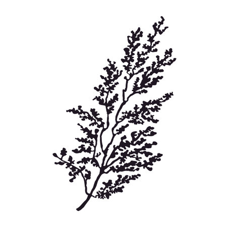 Vector Black and White Illustration of Plant Isolated on White Backgroundのイラスト素材