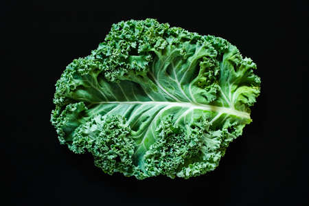 Fresh raw green curly-leaf kale or leaf cabbage on black background. Healthy food, vegan diet,...