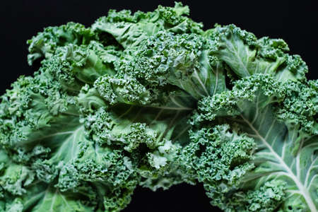 Fresh raw green curly-leaf kale or leaf cabbage on black background. Healthy food, vegan diet,...