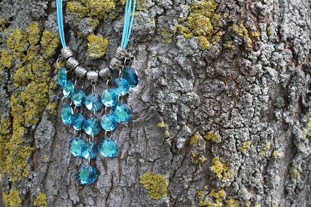 Blue gem necklace against a mossy treeの写真素材