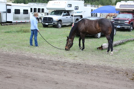 MERRITT; B.C. CANADA - MAY 15: Unidentified cowgirl allowing her horse to rest inbetween rounds at Nicola Valley Rodeo on May 15; 2011 in Merritt; British Columbia; Canadaのeditorial素材
