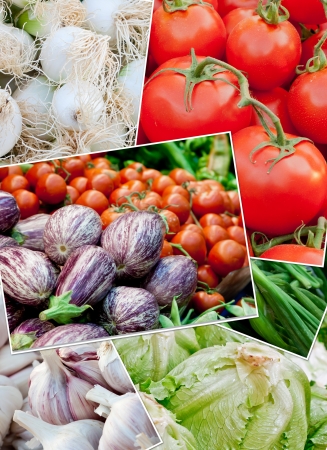 Vegetable collage. Fresh vegetables for haelthy nutrition: Tomatoes, eggplants, onion, green onions, lettuce, garlic,の写真素材
