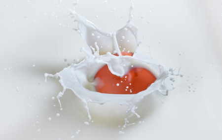 Egg falling in splashing milk.の写真素材
