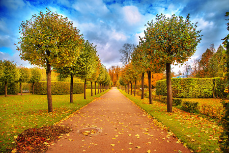 Beautiful autumn park in a suburb of St. Petersburg.の写真素材