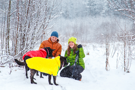 Active loving family walk the dog in the winter forest. Family fun.の写真素材