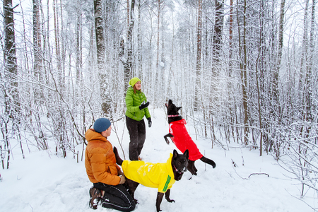Active loving family walk the dog in the winter forest. Family fun.の写真素材