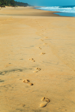 Footprints in the sand on the shores of the Indian Ocean.の写真素材