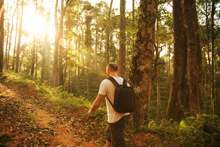 Tourist walk on the wild jungle. The concept of a healthy lifestyle.の写真素材
