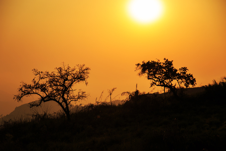 Beautiful sunset in the mountains. Munnar, Kerala state, South India.の写真素材