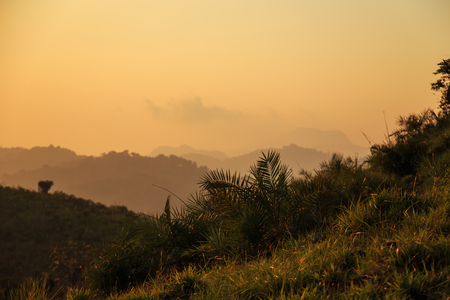 Beautiful sunset in the mountains. Munnar, Kerala state, South India.の写真素材