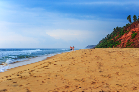 Tropical landscape with blue sky and palm trees. Beautiful beach  in  South India.の写真素材