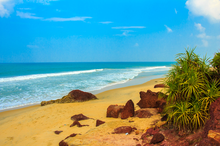 Tropical landscape with blue sky and palm trees. Beautiful beach  in  South India.の写真素材