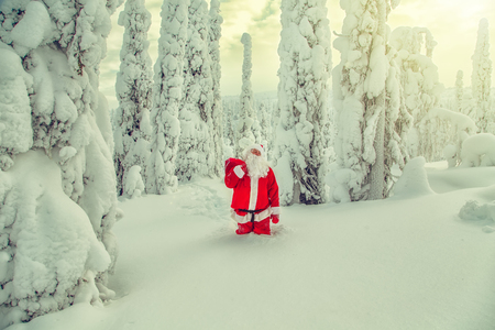 Authentic Santa Claus in Lapland. Magnificent snow-covered landscape.の写真素材