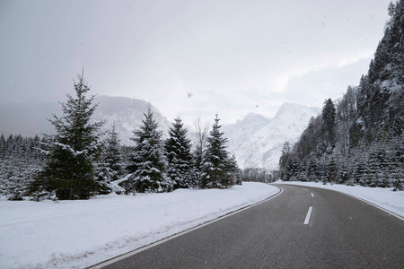 winter landscape with snowflakes on a streetの写真素材
