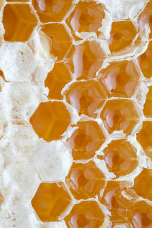 Close-up of golden honeycomb, full frame, high angle view, honeyの写真素材