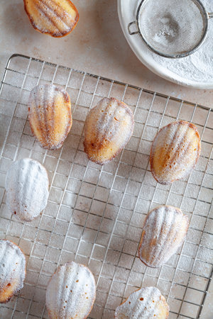 Top down view of a pattern of madeleine cakes in icing sugar with one cake in the middle missing,...