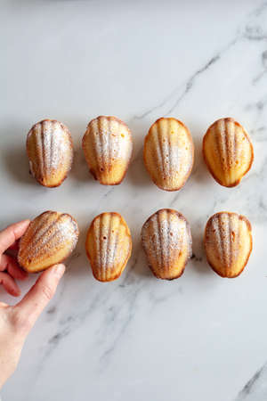 Close-up from above of eight home made madeleine cakes, female hand grabbing one piece, on white marble background, with copy spaceの写真素材