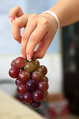 woman's hand holding grapesの写真素材