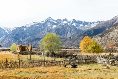 Tibet ranwu Lake sceneryの写真素材