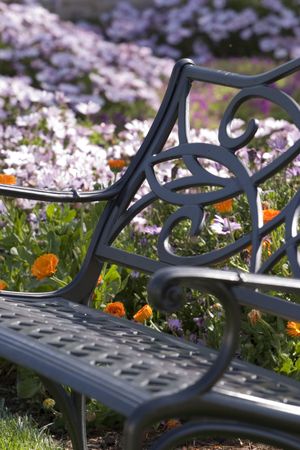 Antique chair in a beautiful gardenの写真素材