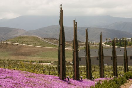 Pretty southern California wine country in Spring Pretty southern California wine country in Spring
