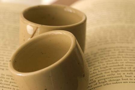 two sake cups and a novelの写真素材