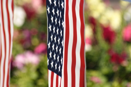 American flag in the garden