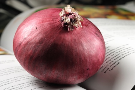 Red onion on a cookbook in the kitchenの写真素材