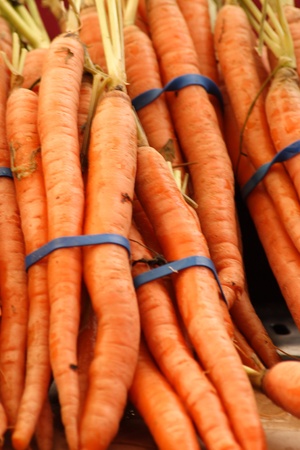 farm fresh  carrots for saleの写真素材