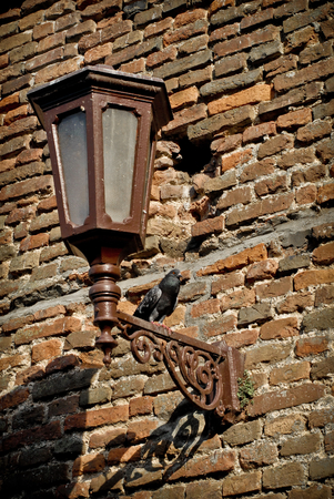 Pigeon on the old lanternの写真素材
