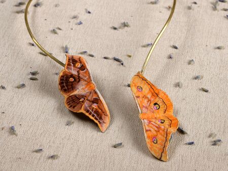 Handmade copper jewelry in the shape of butterfly from the genus Antheraea yamamai. Handmade jewelryの写真素材