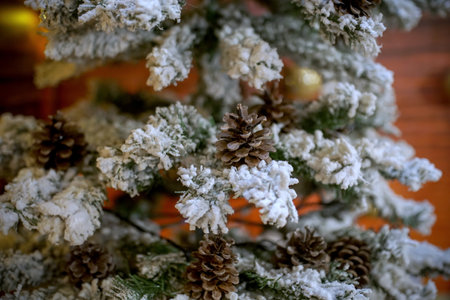 Close up of a Christmas tree with snow on which hang cones. Pine cones on the branch. Fir branch on snowの写真素材