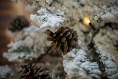 Close up of a Christmas tree with snow on which hang cones. Pine cones on the branch. Fir branch on snowの写真素材