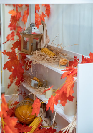 Autumn decoration in the studio. Photo zone for sessions, details of plants that are available in autumn, pumpkin, corn, cereals, as well as leaves with red color. Children's photo zone in autumn.の写真素材