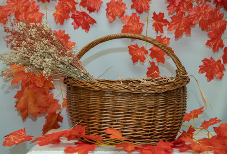 Autumn decoration in the studio. Photo zone for sessions, details of plants that are available in autumn, pumpkin, corn, cereals, as well as leaves with red color. Straw basket on autumn backdropの写真素材