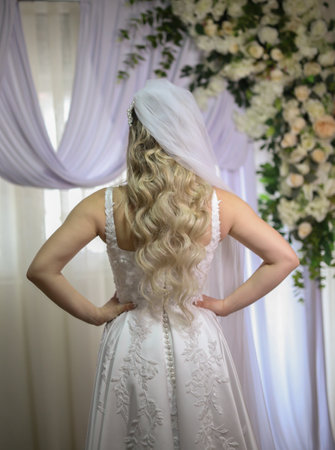 Back of bride dress from behind. Vertical portrait image of back of wedding dressの写真素材