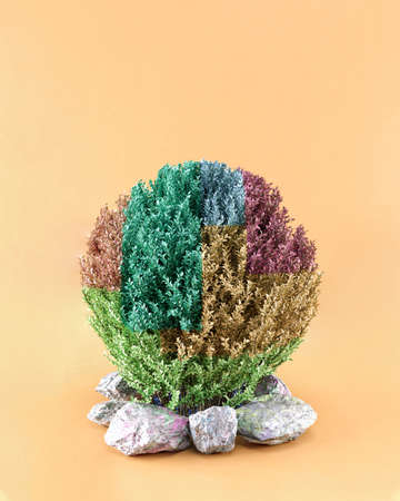 Creative bush made of different seasons parts on grey rocks.  Spring, Summer, Autumn and Winter united in one plant. Concept on pastel orange background.の写真素材