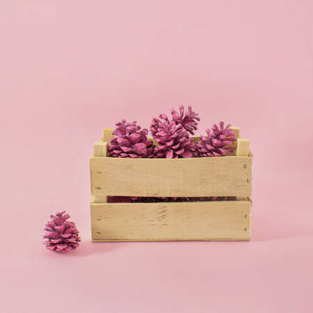 Wooden Autumn basket full of pink pinecone. Creative vintage concept on pastel background.の写真素材