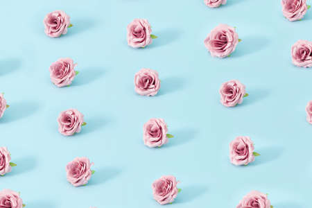 Creative Autumn pattern concept of fresh pink roses. Flowers on pastel blue background.の写真素材