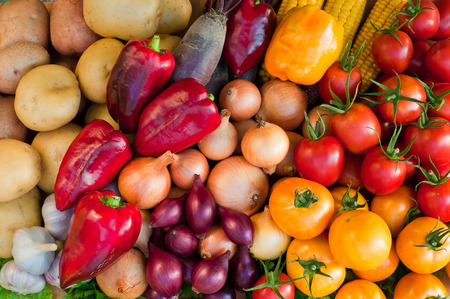 Ripe fresh vegetables close-up. Horizontal photo.の写真素材