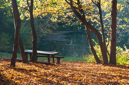 Lake in autumn forestの写真素材
