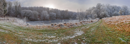 Frosty and snowy winter forest near lakeの写真素材
