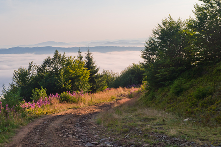 Summer mountain landscape with a road in the sea of fogの写真素材