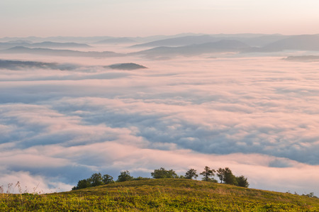 Summer mountain landscape with the sea fog and trees in the foregroundの写真素材