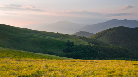 Colorful summer landscape in the Carpathian mountainsの写真素材