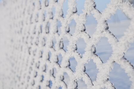 Texture of white frost on a metal meshの写真素材